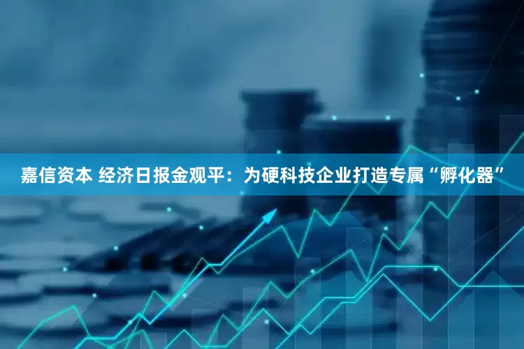嘉信资本 经济日报金观平：为硬科技企业打造专属“孵化器”