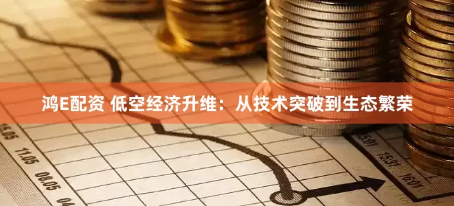鸿E配资 低空经济升维：从技术突破到生态繁荣
