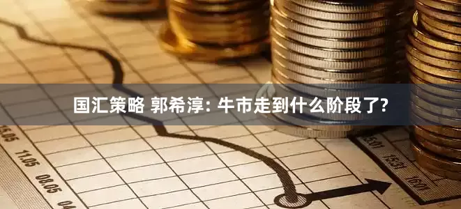 国汇策略 郭希淳: 牛市走到什么阶段了?