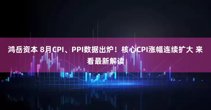 鸿岳资本 8月CPI、PPI数据出炉！核心CPI涨幅连续扩大 来看最新解读