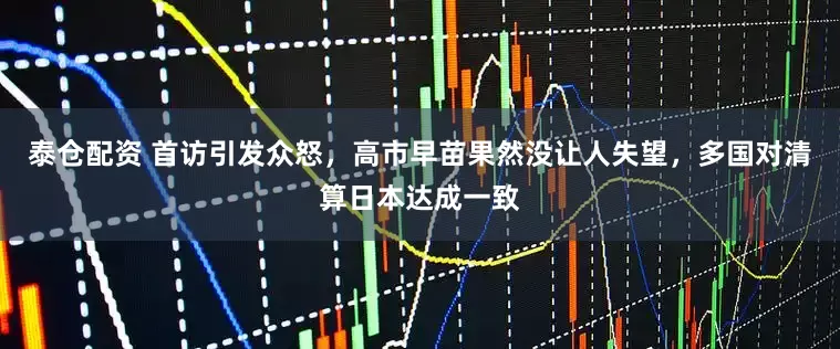 泰仓配资 首访引发众怒，高市早苗果然没让人失望，多国对清算日本达成一致